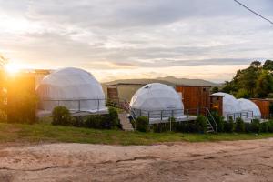 a group of domed tents in a field at Monteadeo Camping in Mon Jam