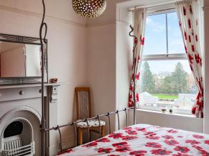 a bedroom with a bed and a fireplace at Bryn Marian in Blaenau-Ffestiniog