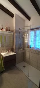 uma casa de banho com um chuveiro, um lavatório e uma cabina de duche em vidro. em Viaggi del Lea vista Lago Maggiore em Piazzogna