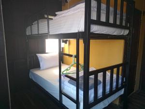 a couple of bunk beds in a room at Imchai in Pai +72 photos