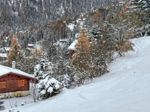 Chalet a Didi - Alps Paradise - 4 Vallees v zimě