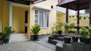 a row of potted plants on the side of a building at Hans Bali Guest House in Jimbaran