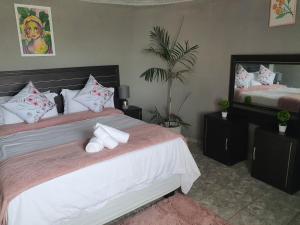 a bedroom with two beds and a large mirror at Mpucuko Guest House in Mtubatuba
