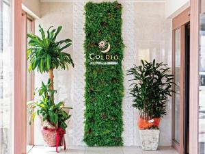 Сад в Aqua Palace Chatan by Coldio Premium