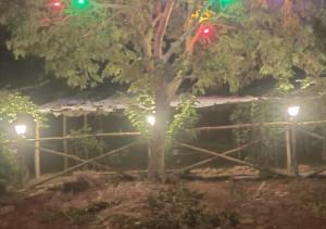 a tree with lights in front of a house at Pawna lake Camping Lonavala in Kolvan