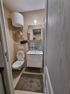a small bathroom with a toilet and a sink at Studio Montry in Montry