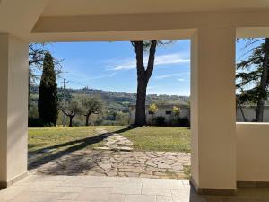 a view of a tree from a stone walkway at BeB La Nociaia in Tavullia
