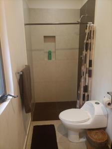 e bagno con servizi igienici e doccia. di Buena onda residence a Tulum