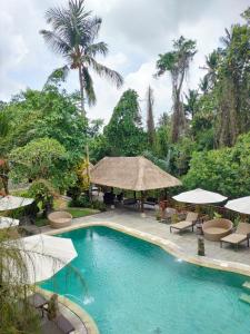 einen Pool mit Stühlen und Sonnenschirmen in einem Resort in der Unterkunft The Gana Ubud by Guru experience in Ubud