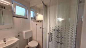 a bathroom with a shower and a toilet and a sink at Apartmani Ela in Prvić Luka