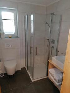 La salle de bains est pourvue d'une douche, de toilettes et d'un lavabo. dans l'établissement Ferienwohnung umemma, à Kappl