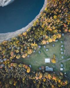 Vue aérienne d'un champ planté d'arbres d'automne dans l'établissement Malý Oslov Glamping, à Oslov
