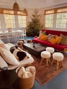 a living room with a couch and a christmas tree at Malý Oslov Glamping in Oslov