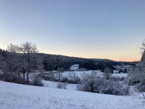 冬天的Camping-Chalets La Favière