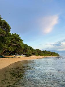 una playa con barcos sobre la arena y los árboles en MIRISSA Reef Serenity, en Mirissa