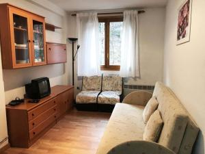 a living room with a couch and a tv at Apartamentos Canfranc 3000 in Canfranc-Estación