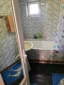 a bathroom with a bath tub and a sink at Apartament Del Dodo in Alba Iulia