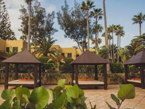 um resort com dois gazebos e palmeiras em Pachi Beach Atlantic Garden Corralejo em Corralejo