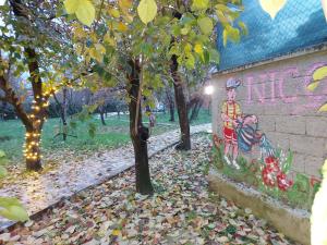 Κήπος έξω από το Nicolaus Hidden Gem Villa
