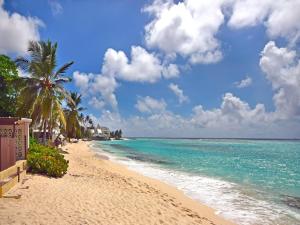 Una playa de arena con palmeras y el océano. en Arcadia Blue Sky Luxury, en Bridgetown 4 fotos más