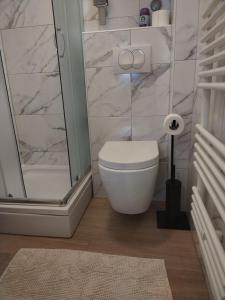 a bathroom with a toilet and a shower and a rug at Studio apartman Oboj Maksimir in Zagreb