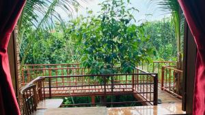 um quarto com uma árvore numa varanda em Gibbon Singing Home Stay em Quan Tom