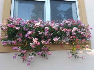 Vonkajšia záhrada v ubytovaní Holiday home in Badacsonytomaj 20247