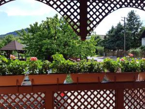 Vonkajšia záhrada v ubytovaní Holiday home in Badacsonytomaj 20247
