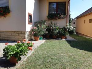 Vonkajšia záhrada v ubytovaní Holiday home in Badacsonytomaj 20247