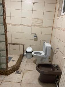 コンスタンツァにあるVila Lumiの小さなバスルーム(トイレ、シャワー付)
