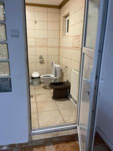 コンスタンツァにあるVila Lumiの小さなバスルーム(トイレ、窓付)が備わります。