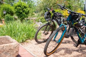 twee fietsen geparkeerd naast elkaar in een tuin bij Birkenhof Family Lodge - a68755 in Rieschweiler-Mühlbach