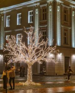 un árbol de luces de Navidad en frente de un edificio en Central Luxury Home, en Timisoara