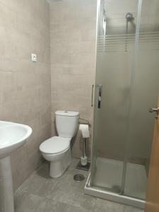 a bathroom with a toilet and a shower at El bosque - CON PARKING GRATIS in Toledo