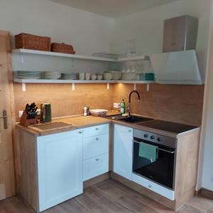 Köök või kööginurk majutusasutuses Apartmány Marie Albeř
