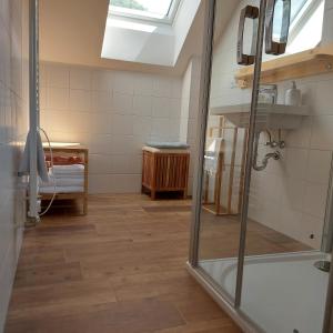 baño con ducha y puerta de cristal en Apartmány Marie Albeř, en Nová Bystřice