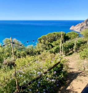 a view of the ocean from a hill with flowers at Villa Pietrafiore in Monterosso al Mare