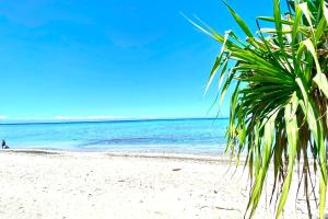 a palm tree on a white beach at Tahiti Beach apartment in Paea