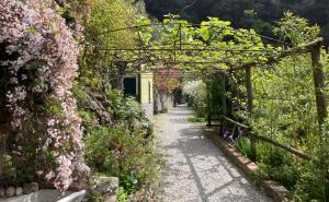 un jardin avec des fleurs roses sur un chemin dans l'établissement Villa Pietrafiore, à Monterosso al Mare