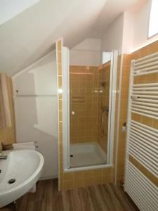 a bathroom with a shower and a sink at Ferienwohnung Astenrefugio in Winterberg