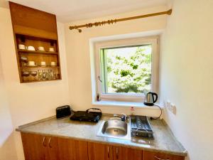 cocina con fregadero y ventana en Apartmán u Sázavy č.14, 