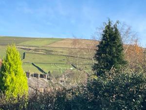 two trees on a hill in a green field at Pass the Keys The Cosy Romantic and Elegant for 2 with Hot Tub in Hayfield