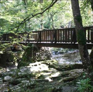 a wooden bridge over a stream in a forest at Thalassa in Dundrum