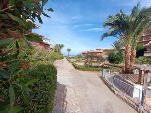 Un camino de tierra con palmeras y condominios. en Vila Maia, en Hurghada