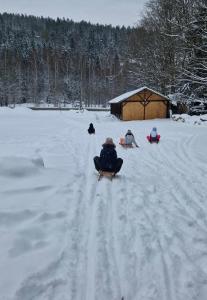 斯克拉斯卡波伦巴Zielony Jeleń - sauna i jacuzzi的一群人坐在雪地里的雪橇上