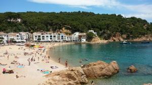 a group of people on a beach in the water at Ca l'Estany Clos in Tamariu
