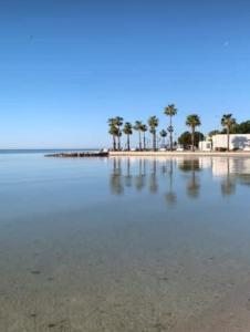 Viva Vista Mare Trilo PianoTerra في بورتو سيساريو: a body of water with palm trees on a beach
