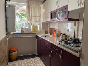- une cuisine avec des placards violets et un four avec plaques de cuisson dans l'établissement Anatolia, à Antalya