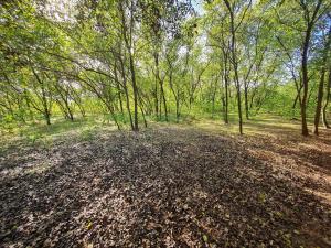 uma grande pilha de folhas no chão de uma floresta em Varázslakos Tanya em Soltvadkert