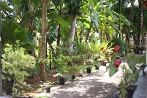Сад в Bakery Family Guest House